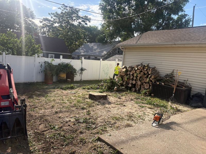 Backyard after a tree removal, with a low stump and split wood stacked by a garage