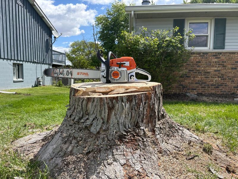 Orange chainsaw sitting on top of a wide, freshly cut stump next to a house