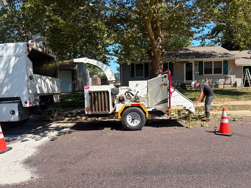 Worker feeding branches into a brush chipper hitched behind a white truck