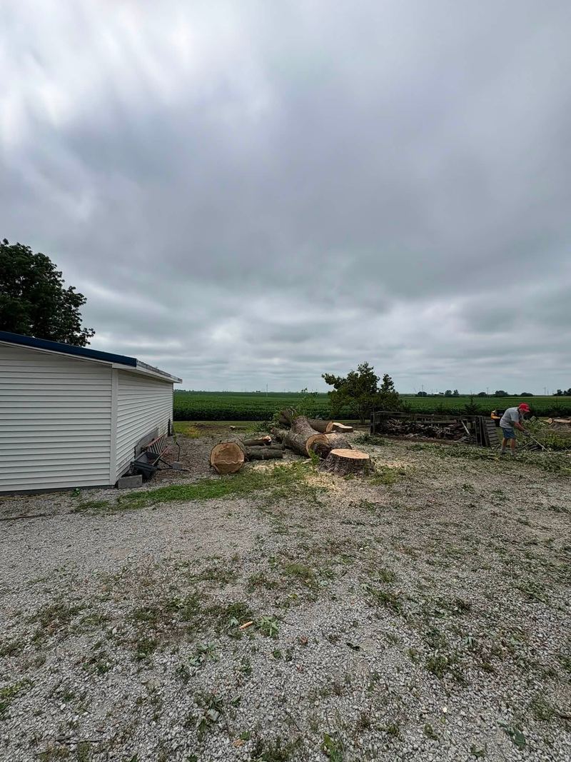 Flat gravel lot with the trees cleared off, cut logs at the edge and farm fields behind