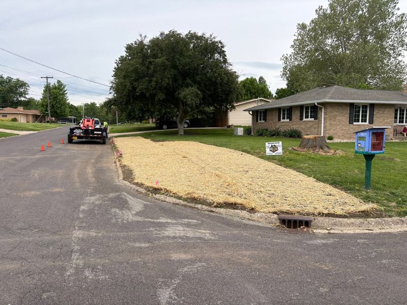 Strip of fresh dirt covered in straw along a curb, an orange loader on a trailer down the street