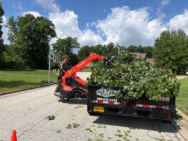 Kubota track loader dumping leafy branches into a black LB Tree and Land dump trailer
