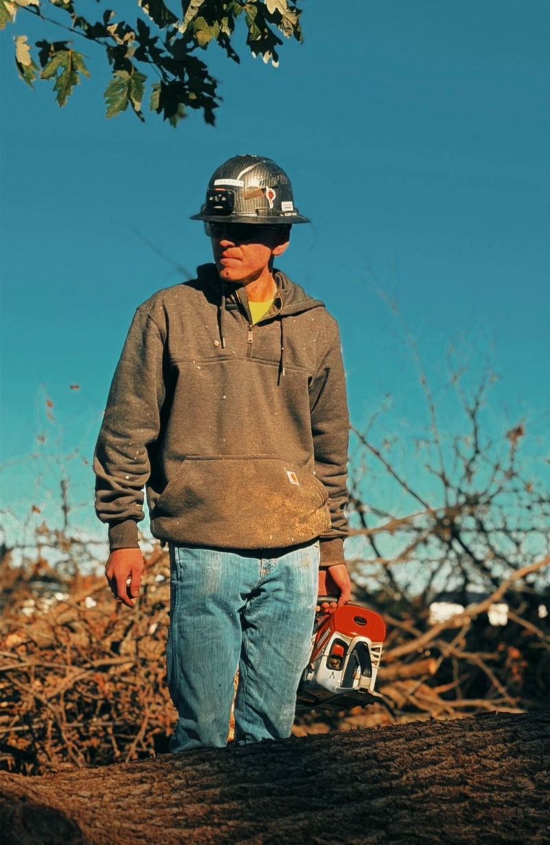 Liam Brown in a hard hat and safety glasses, holding a chainsaw, standing on a big log with brush piled behind him