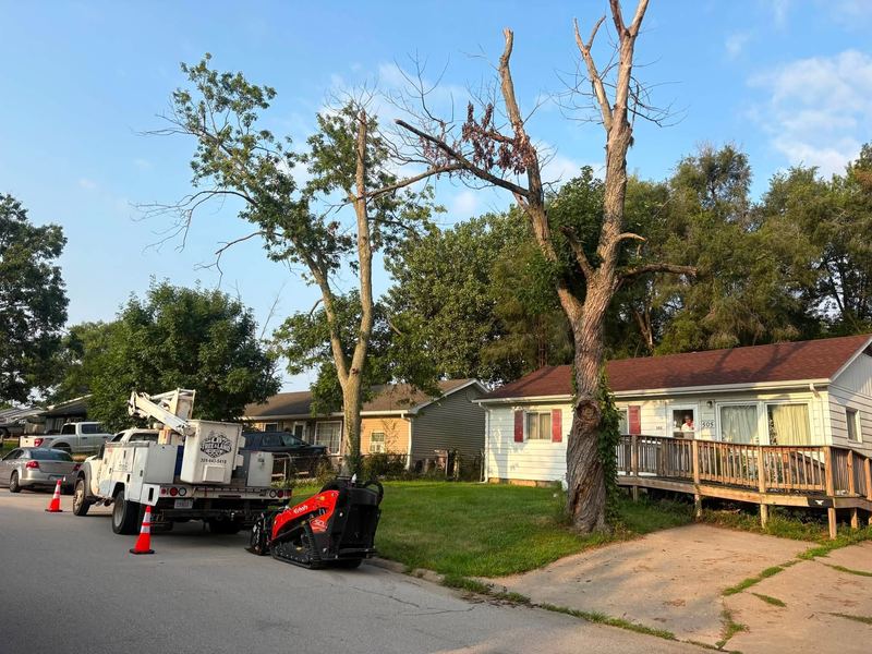 Bucket truck and orange track loader at the curb beside a tall broken tree, cones in the street