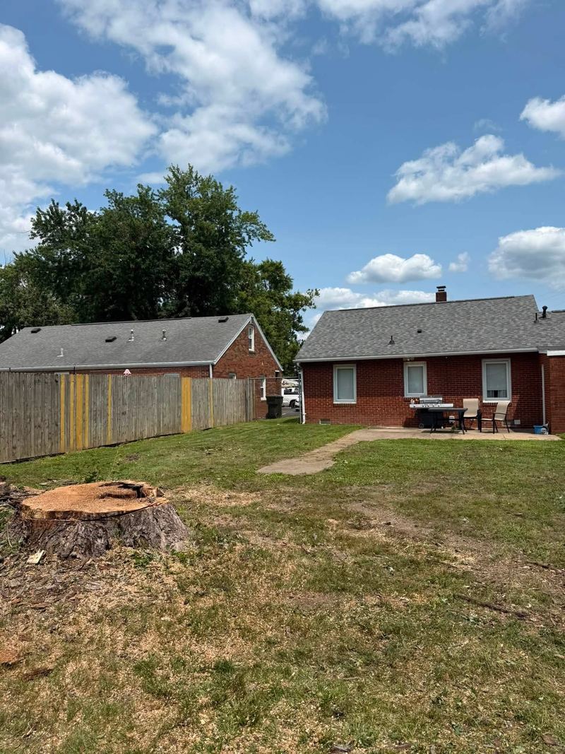 Backyard with a tree stump cut down close to the grass, a brick house behind